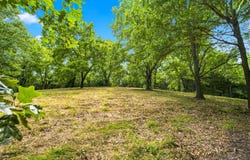 Kingsgate Road lot: 12F, Lampe, MO 65681