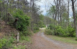 21938 Hollow Road, Neelyton, PA 17239