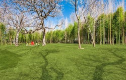 2010 N Locust Street, Denton, TX 76209