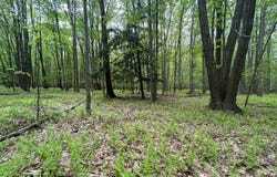 0 Galloway Rd, Dubois, PA 15801