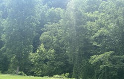 Walnut Lane, Harlan, KY 40831