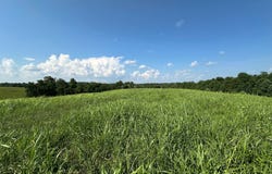 Tract #22 Statham Rd, Liberty, KY 42539