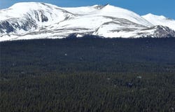 0 BEAVER RIDGE ROAD, Fairplay, CO 80440