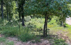 174 Eric Road, Mocksville, NC 27028