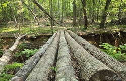 State Line Road lot: 10, Mooresboro, NC 28114