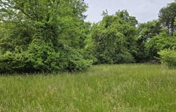 Tbd BOATMANS MOUNTAIN-TR 1 Rd, Morristown, TN 37814