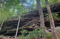 TOMMY MCGOUGH Rd, Carbon Hill, AL 35549