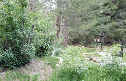 993 E Side Avenue, Jarbidge, NV 89826