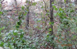 Off MILL RD, Ogema, WI 54459
