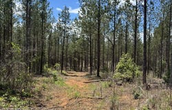 Lot 2 Lipham, Franklin, GA 30217
