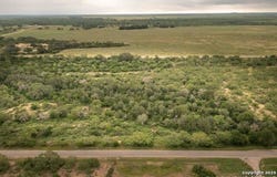 Lot 6 County Road 429, Uvalde, TX 78801