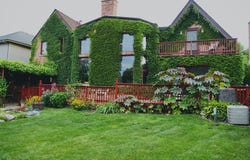 8209 N Oleander Avenue, Niles, IL 60714