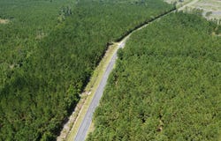 0 Salem Rd, Gable, SC 29501