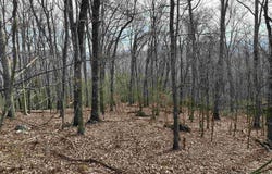 1240 FALCON RIDGE Road, Blacksburg, VA 24060