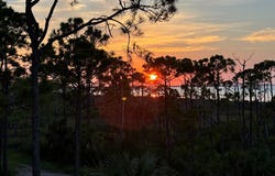 696 E Bay Shore Dr, St. George Island, FL 32328