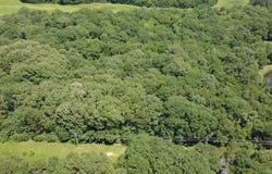 Polk Road 87, Mena, AR 71953