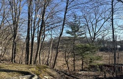 1 Eames Ave, Worcester, MA 01603
