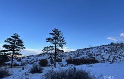 788 36th  trail, Cotopaxi, CO 81223