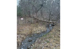 BUCK HILL LANE, SUGAR GROVE, WV 26815