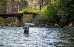 37797 Poudre Canyon Rd, Bellvue, CO 80512