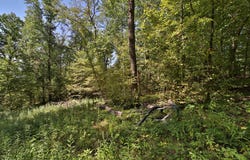 49601 Thunderbird Drive, Staples, MN 56479