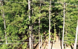60 Circle H Woods Road, Prosperity, SC 29127