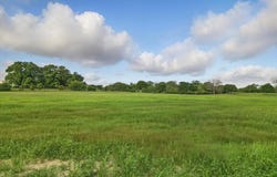 Lot 4,545 Jernigan, Copper Canyon, TX 75077