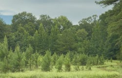 Us-51, Crystal Springs, MS 39059