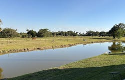 5224 SE 67th Avenue, Okeechobee, FL 34974