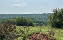 TBD Galloway  RD, Canehill, AR 72717