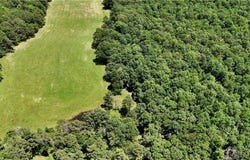 30 acres Highway 21, Ozone, AR 72854
