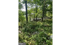 REED ROAD, KNOXVILLE, MD 21758