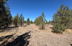 Bunny Lane lot: 2, Montague, CA 96064