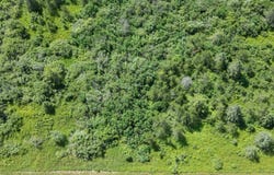 75XX Cheese Factory Rd, Iron River, WI 54847