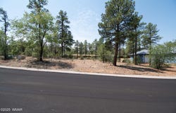 381 E Huckleberry Lane, Show Low, AZ 85901