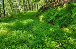 Tbd Riverwood Ln, Fries, VA 24330