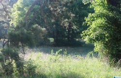 174 POPLAR SPRINGS DRIVE lot: 1,2,3, SYLVAN SPRINGS, AL 35118