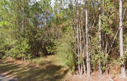 Cedar Drive, Bay Saint Louis, MS 39520