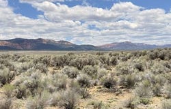 4369 S Scenic Dr, Panguitch, UT 84759
