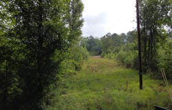 126 Batten Way, Ridgeville, SC 29472
