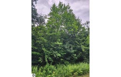 5165 Snowridge Trail, Elmira, MI 49730-8226