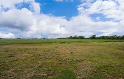 3361 Fm 2649, Lone Oak, TX 75453