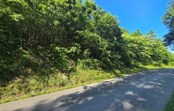 Tbd Dry Fork Road, Cedar Bluff, VA 24609