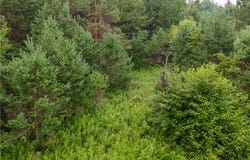 Lot 5 Fairway Drive, Ladysmith, WI 54848