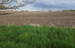 Hempstead Street, Martensdale, IA 50211