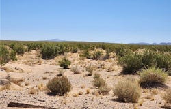 500 Harrod Road, Lucerne Valley, CA 92356
