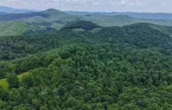 0 NC Highway 16, Millers Creek, NC 28651