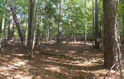 12 RIVERVIEW Court, Lincolnton, GA 30817