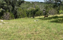 Lots 24084 & 24 Ox Bow Drive, Horseshoe Bay, TX 78657-0000