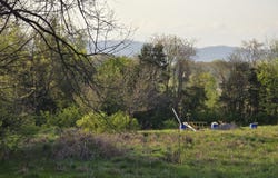 Tr-2 BOATMANS MOUNTAIN-TR 2 Rd, Morristown, TN 37814